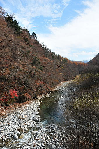 f0094843_0575012.jpg