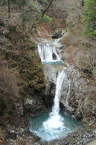 f0094843_119263.jpg