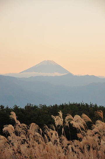 f0094843_143493.jpg