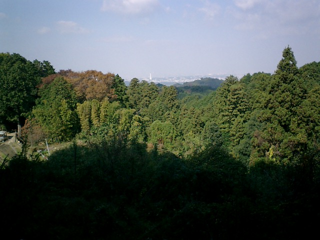 b0132746_20105258.jpg