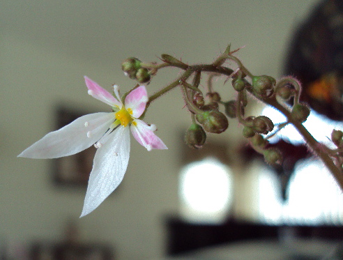 a0204348_22343164.jpg
