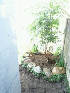 e0150849_1431517.jpg