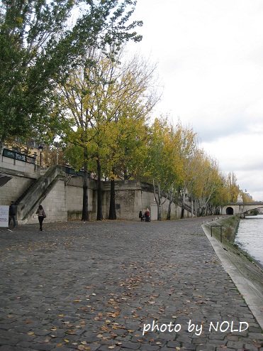 d0186854_1205022.jpg