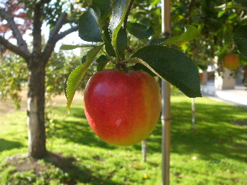 f0226954_13443882.jpg