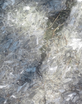 c0189859_129755.jpg