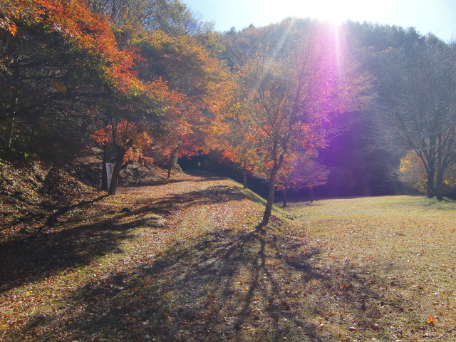 c0140260_21541589.jpg