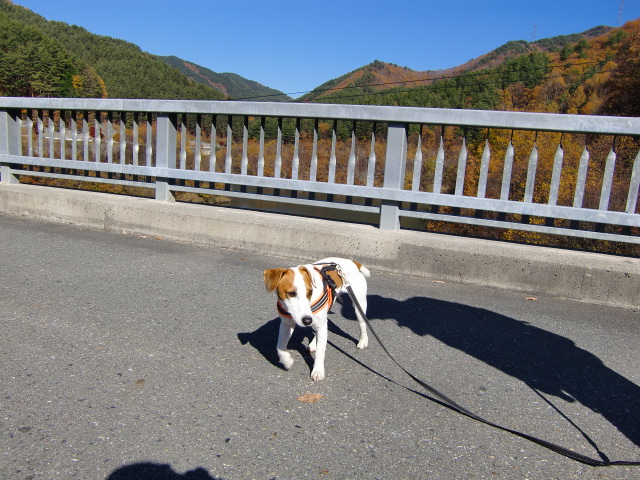 c0140260_21564939.jpg