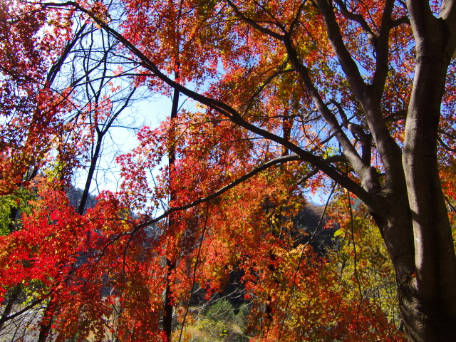 c0140260_21574147.jpg