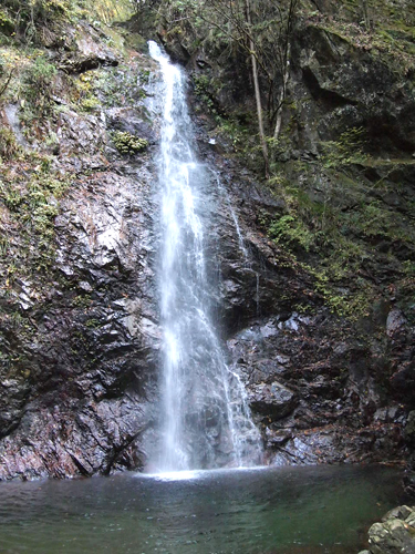 c0011862_236113.jpg