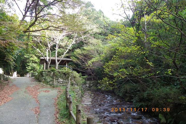 f0016066_18115119.jpg