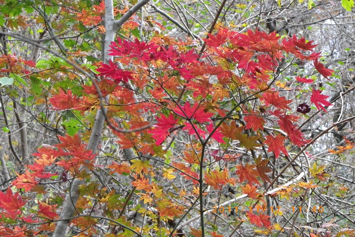 f0016066_18315351.jpg