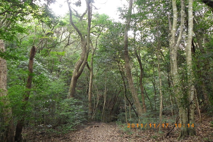 f0016066_1871617.jpg