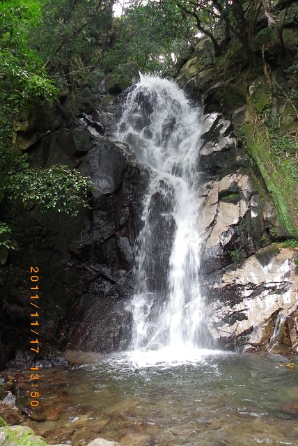 f0016066_1962144.jpg