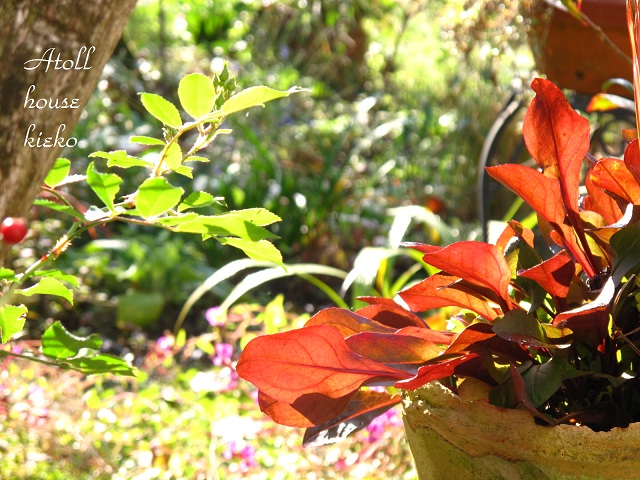 a0139570_025838.jpg