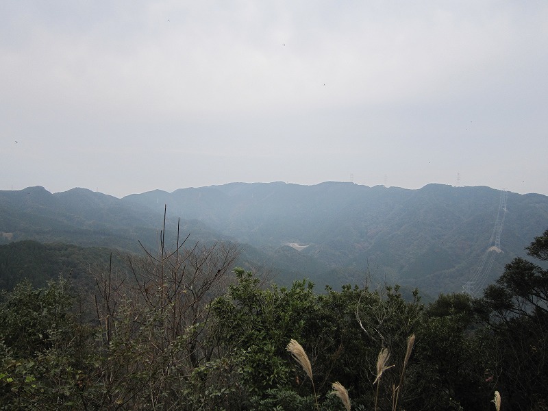 a0016171_2039069.jpg