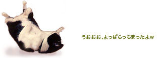 e0137277_1054419.jpg