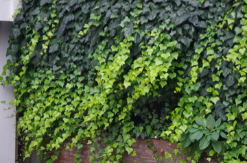f0054677_9475434.jpg