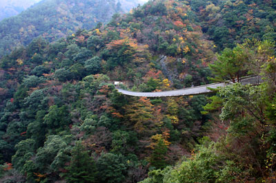 c0152779_13322255.jpg