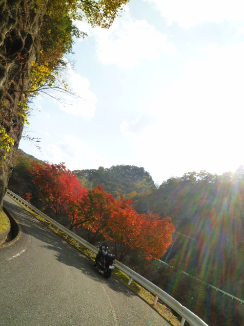 d0179983_18494941.jpg