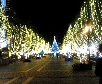 c0014187_142971.jpg