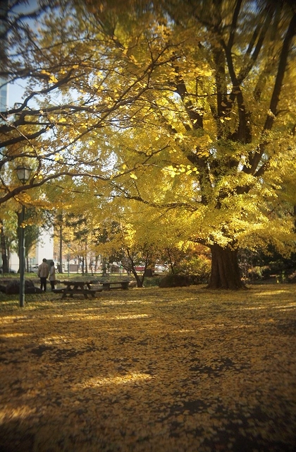 c0202705_12294513.jpg