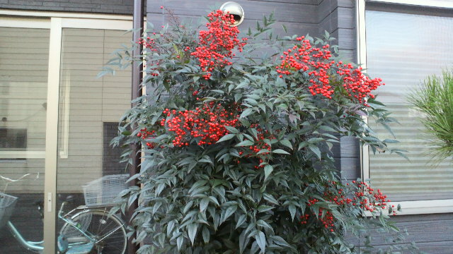 b0035611_20251795.jpg