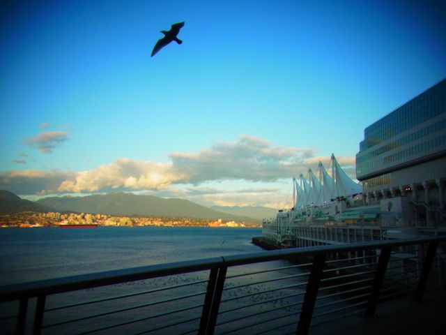 b0183911_2220468.jpg