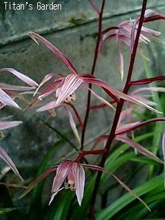b0099813_151428.jpg