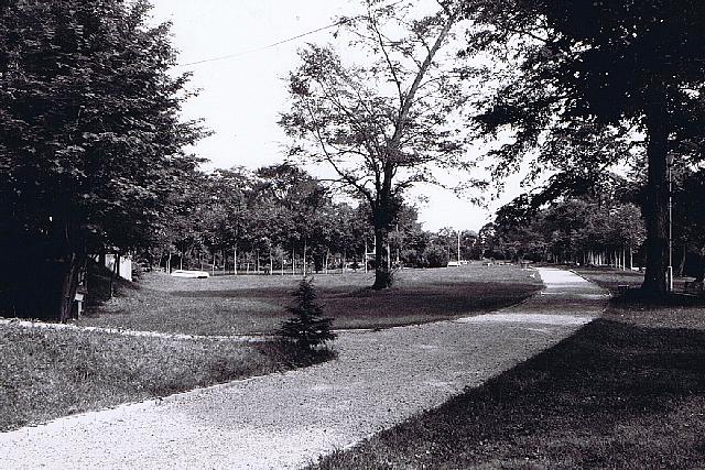 e0062415_1763363.jpg