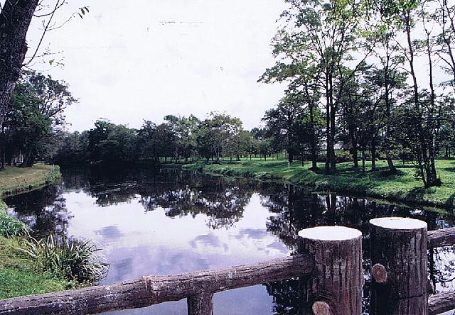 e0062415_177171.jpg