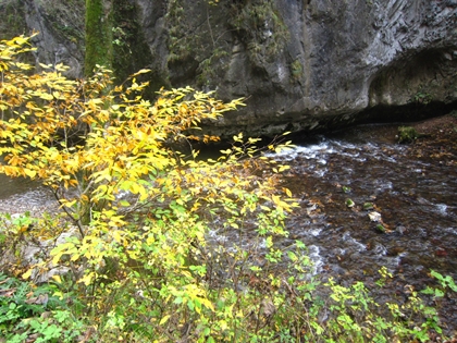 a0105023_1202397.jpg