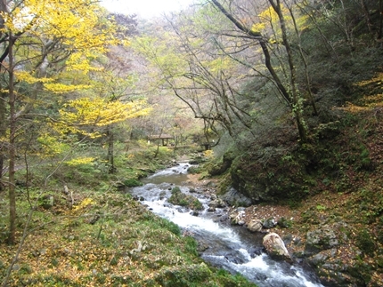 a0105023_1214516.jpg