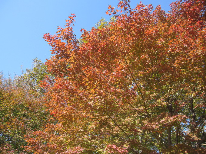 a0155430_13413122.jpg