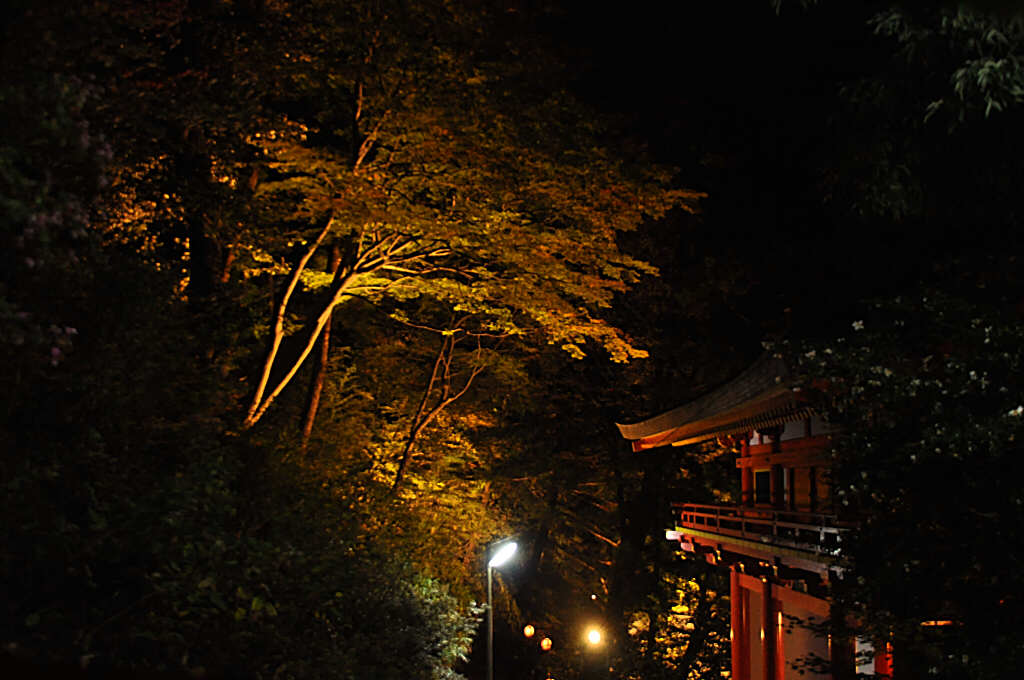 b0129533_1555667.jpg