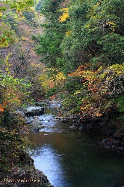 e0083238_0181447.jpg