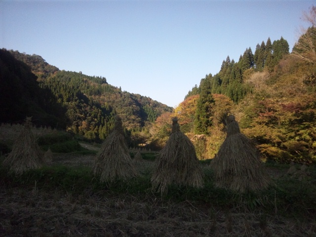 b0199742_20481544.jpg