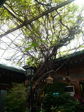 d0240442_847381.jpg