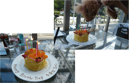 b0182846_16056.gif