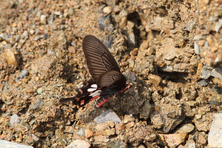 a0094850_14321861.jpg