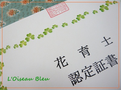 a0200050_20584827.jpg