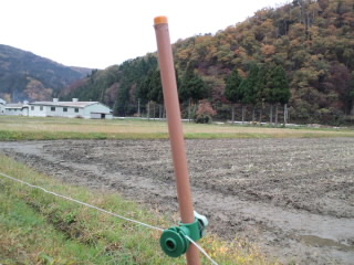 c0145453_10584244.jpg