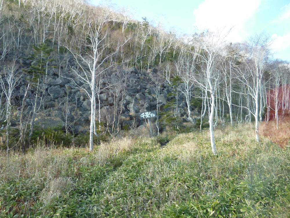 a0193457_20482051.jpg