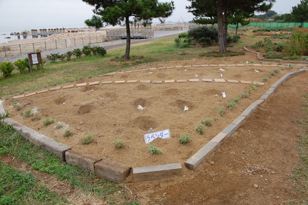 c0108460_22391432.jpg