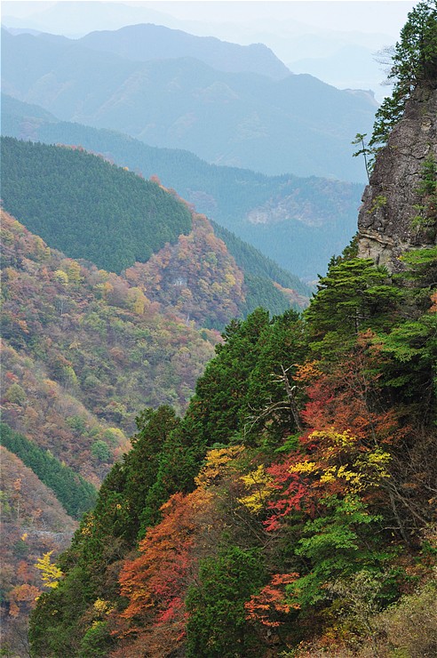 f0222161_1165014.jpg