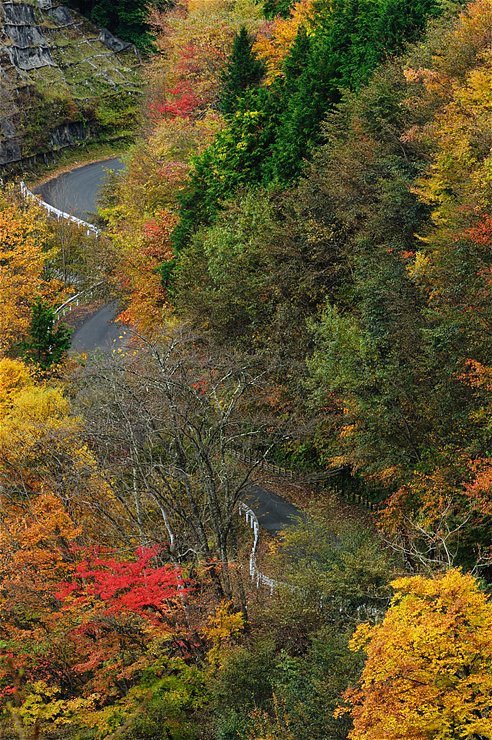 f0222161_1171044.jpg