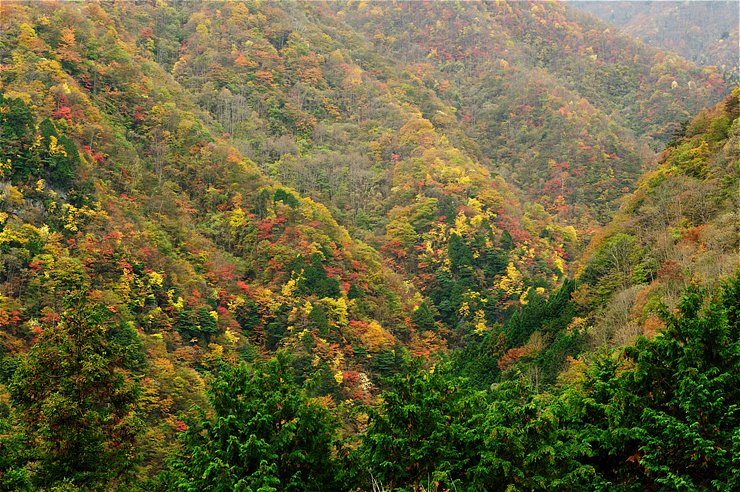 f0222161_1171454.jpg