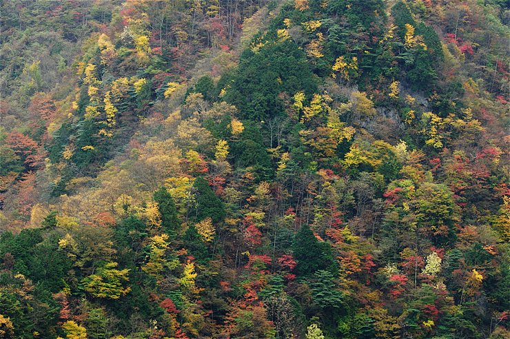 f0222161_1172024.jpg