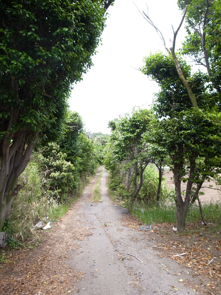 b0122664_19413344.jpg