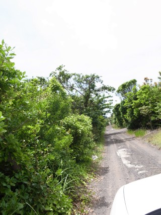 b0122664_1942544.jpg