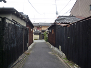 b0149064_16471625.jpg